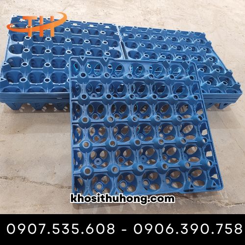 Vỉ đựng trứng nhựa PP