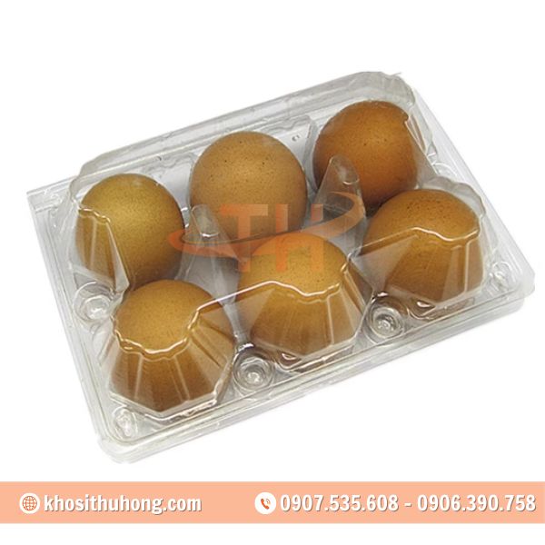 Vỉ trứng 6 quả với ứng dụng linh hoạt Vỉ trứng 6 quả với ứng dụng linh hoạt