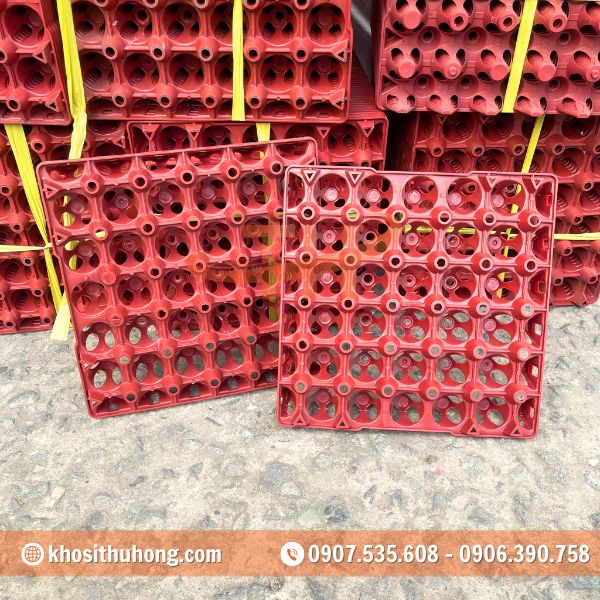 Vỉ trứng có thể tái sử dụng nhiều lần, thân thiện môi trường Vỉ trứng có thể tái sử dụng nhiều lần, thân thiện môi trường