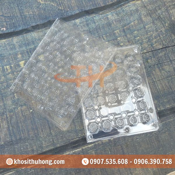 Vỉ trứng cút giúp bảo quản trứng an toàn khi vận chuyển Vỉ trứng cút giúp bảo quản trứng an toàn khi vận chuyển