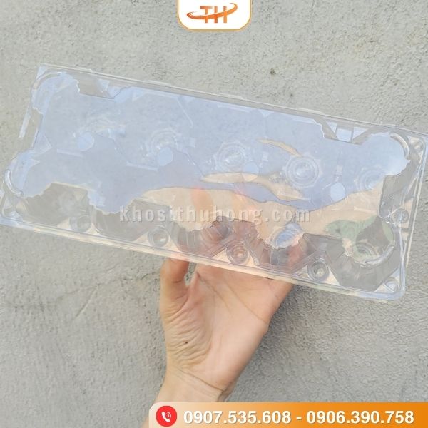 Vỉ trứng gà 10 quả dùng 1 lần với tính tiện lợi cao Vỉ trứng gà 10 quả dùng 1 lần với tính tiện lợi cao