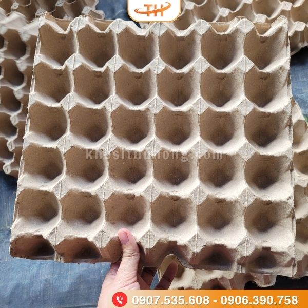 Vỉ trứng giấy 30 quả không nắp Vỉ trứng giấy 30 quả không nắp