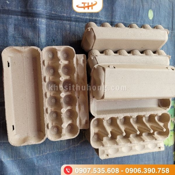 Vỉ trứng giấy thân thiện với môi trường Vỉ trứng giấy thân thiện với môi trường