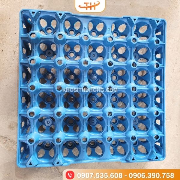 Vỉ trứng nhựa 30 quả không chất độc hại Vỉ trứng nhựa 30 quả không chất độc hại