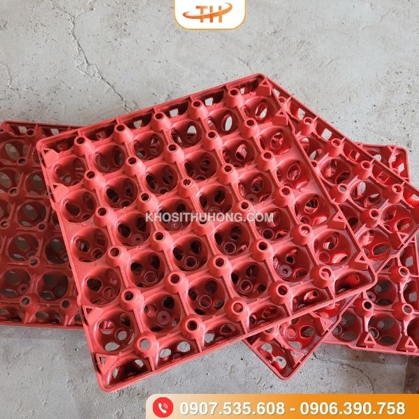 Vỉ trứng nhựa 30 quả với chất liệu nhựa bền bỉ Vỉ trứng nhựa 30 quả với chất liệu nhựa bền bỉ