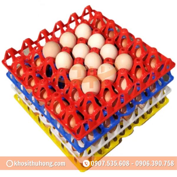 Vỉ trứng nhựa giúp bảo quản, vận chuyển trứng dễ dàng Vỉ trứng nhựa giúp bảo quản, vận chuyển trứng dễ dàng