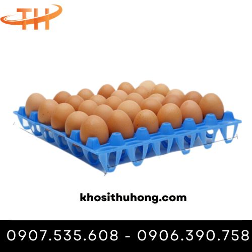 Vỉ đựng trứng gà bằng nhựa
