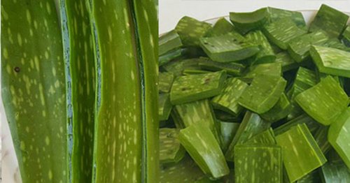 Tự tay làm 2 loại hỗn hợp dưỡng da, chống lão hóa hoàn toàn tự nhiên, an toàn