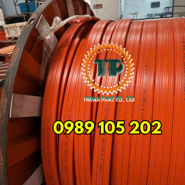Ray điện an toàn cầu trục chính hãng Ray điện an toàn cầu trục chính hãng