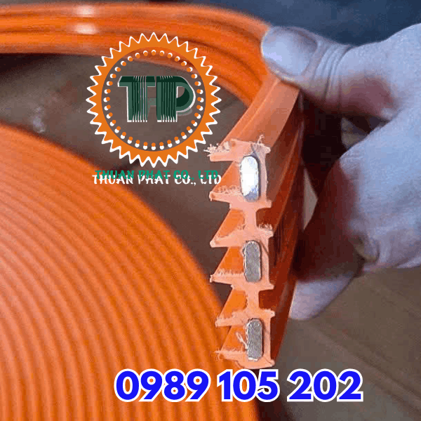Ray điện an toàn cầu trục chính hãng Ray điện an toàn cầu trục chính hãng