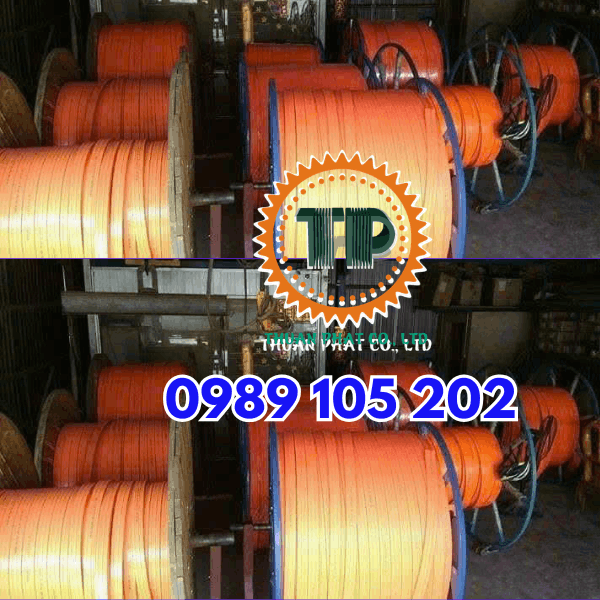Ray điện an toàn cầu trục chính hãng Ray điện an toàn cầu trục chính hãng