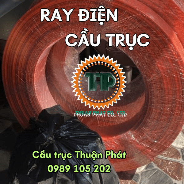 Ray điện cầu trục