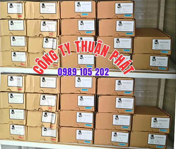 Hướng dẫn đấu nối điều khiển cầu trục Telecrane F21-2S Hướng dẫn đấu nối điều khiển cầu trục Telecrane F21-2S