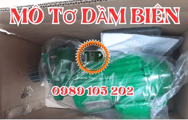 Motor dầm biên có vai trò gì? Motor dầm biên có vai trò gì?
