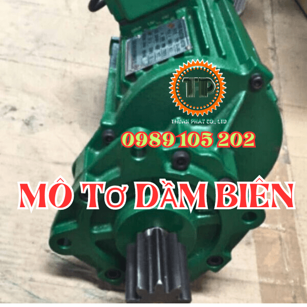 Motor dầm biên có vai trò gì? Motor dầm biên có vai trò gì?