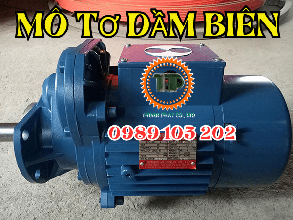 Motor dầm biên là gì? Motor dầm biên là gì?