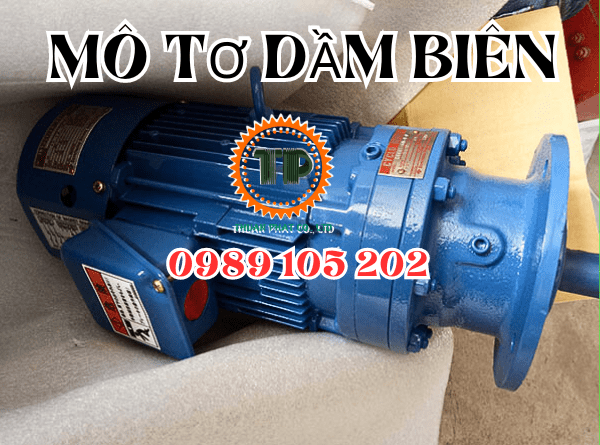 Motor dầm biên mua ở đâu? Motor dầm biên mua ở đâu?