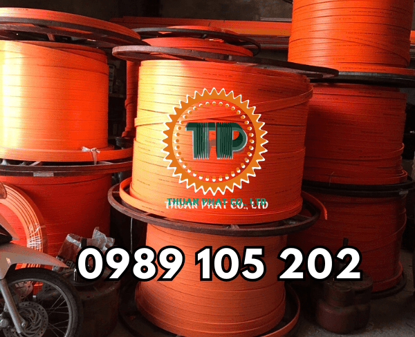 Ray điện 4P-100A Ray điện 4P-100A