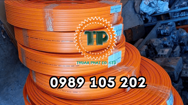 Ray điện 6P-50A Ray điện 6P-50A