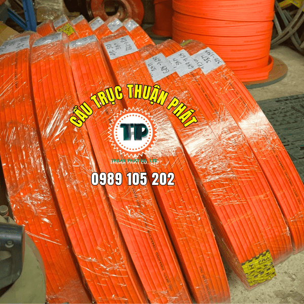 Ray điện an toàn Ray điện an toàn