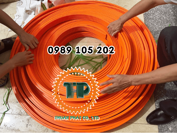 Ray điện an toàn cầu trục 3 pha 50 ampe Ray điện an toàn cầu trục 3 pha 50 ampe