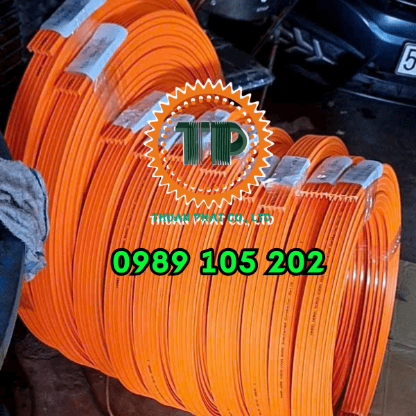 Ray điện an toàn cầu trục 3 pha 50 ampe Ray điện an toàn cầu trục 3 pha 50 ampe