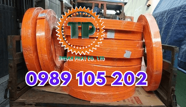 Ray điện an toàn cầu trục Miền Nam Ray điện an toàn cầu trục Miền Nam