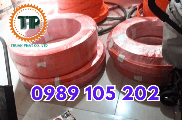 Ray điện an toàn cầu trục Miền Nam Ray điện an toàn cầu trục Miền Nam