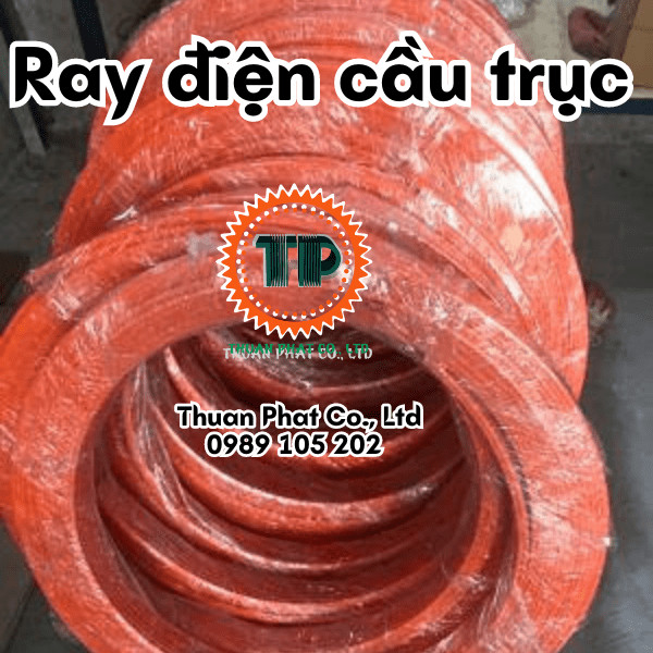 Ray điện cầu trục Kyec Ray điện cầu trục Kyec