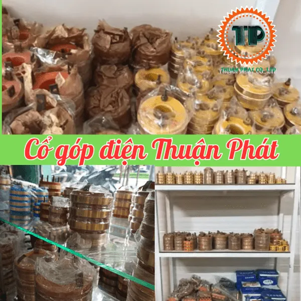 Cổ góp điện