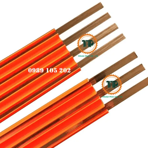 Ray điện an toàn cầu trục 3P50A