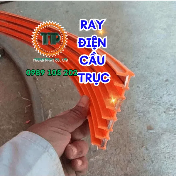  Ray điện cầu trục Palang 