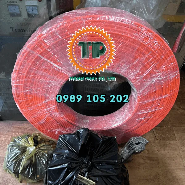 Ray điện an toàn cầu trục 3P50A KYEC