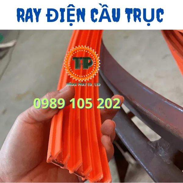Ray điện an toàn cầu trục 3P50A