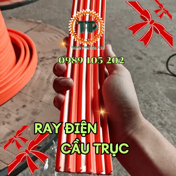 Ray điện cầu trục 3P-50A và 3P-100A