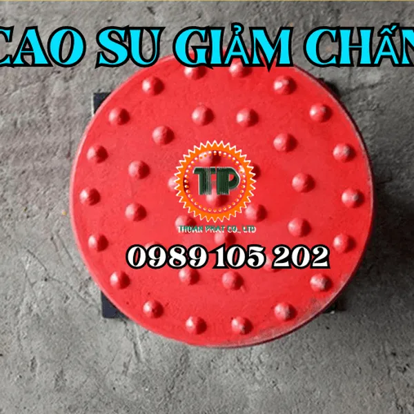 Đầu đấm giảm chấn cao su