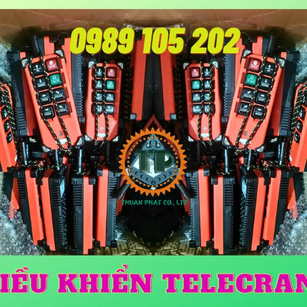 Remote điều khiển cầu trục Telecrane F21-E1B