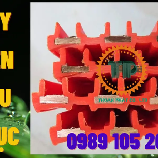 Ray điện cầu trục 3P100A