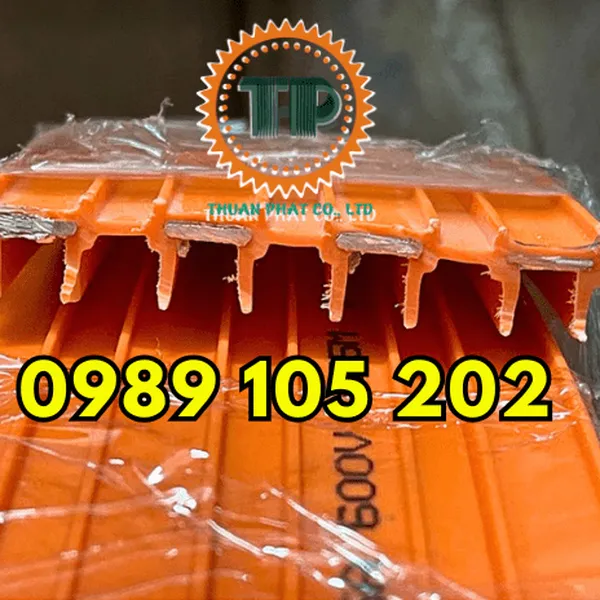 Ray điện 4P-100A