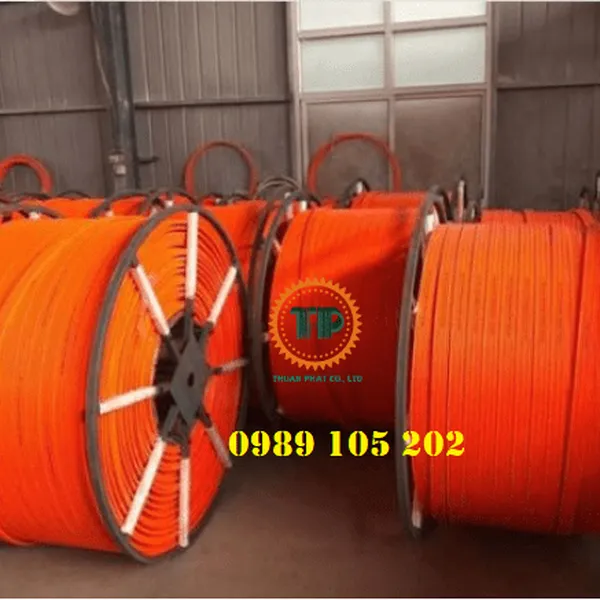 Ray điện an toàn cầu trục I.T.S.
