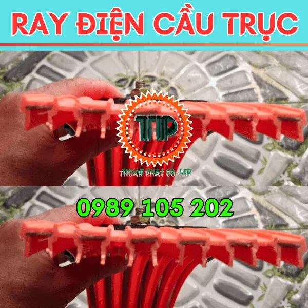 Ray điện cầu trục 6P