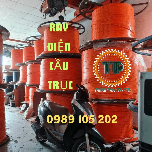 Ray điện cầu trục
