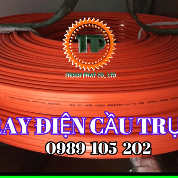 Ray điện cầu trục 3P-75A