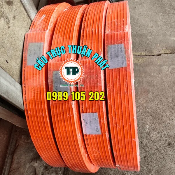 Ray điện ngang 6P50A cho cầu trục