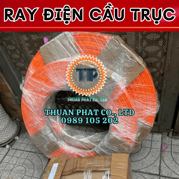 Ray điện cầu trục 3P 