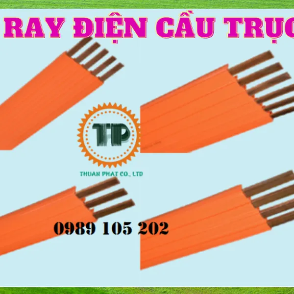 Ray điện an toàn cầu trục 1P, 3P, 4P, 6P 
