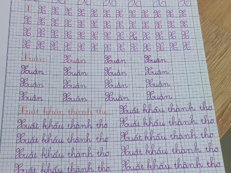 LUYỆN CHỮ CỠ NHỠ- CẤP CHỨNG CHỈ LUYỆN CHỮ ĐẸP CHO NGƯỜI LỚN