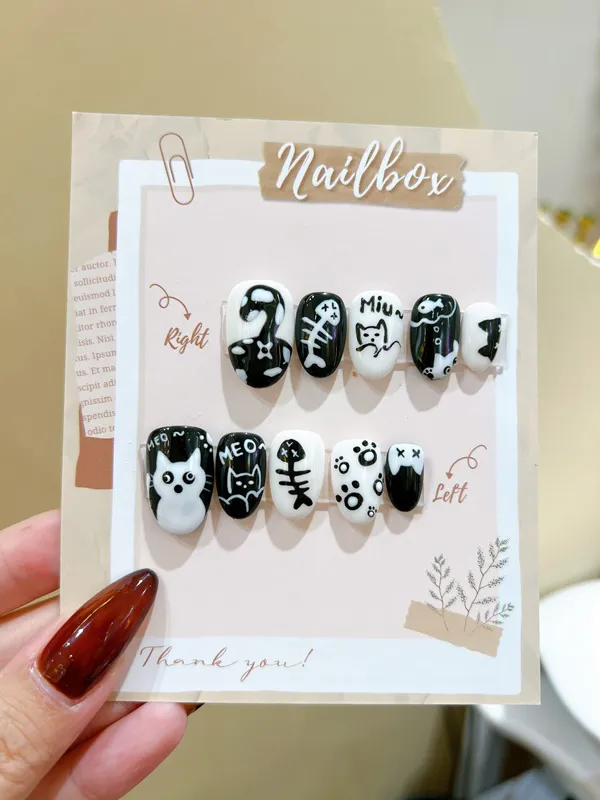 Nailbox 299,000đ