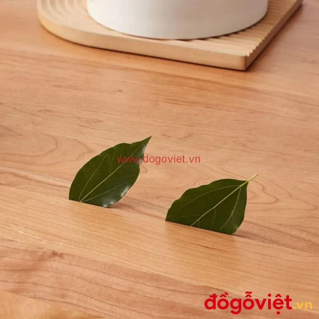 Mẹo hay khi mua bộ bàn ăn 8 ghế đẹp với mức giá phải chăng nhất 