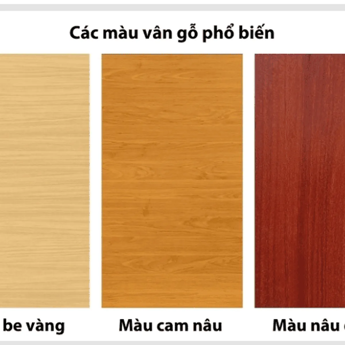 Kệ Đa Năng Kệ Đa Năng